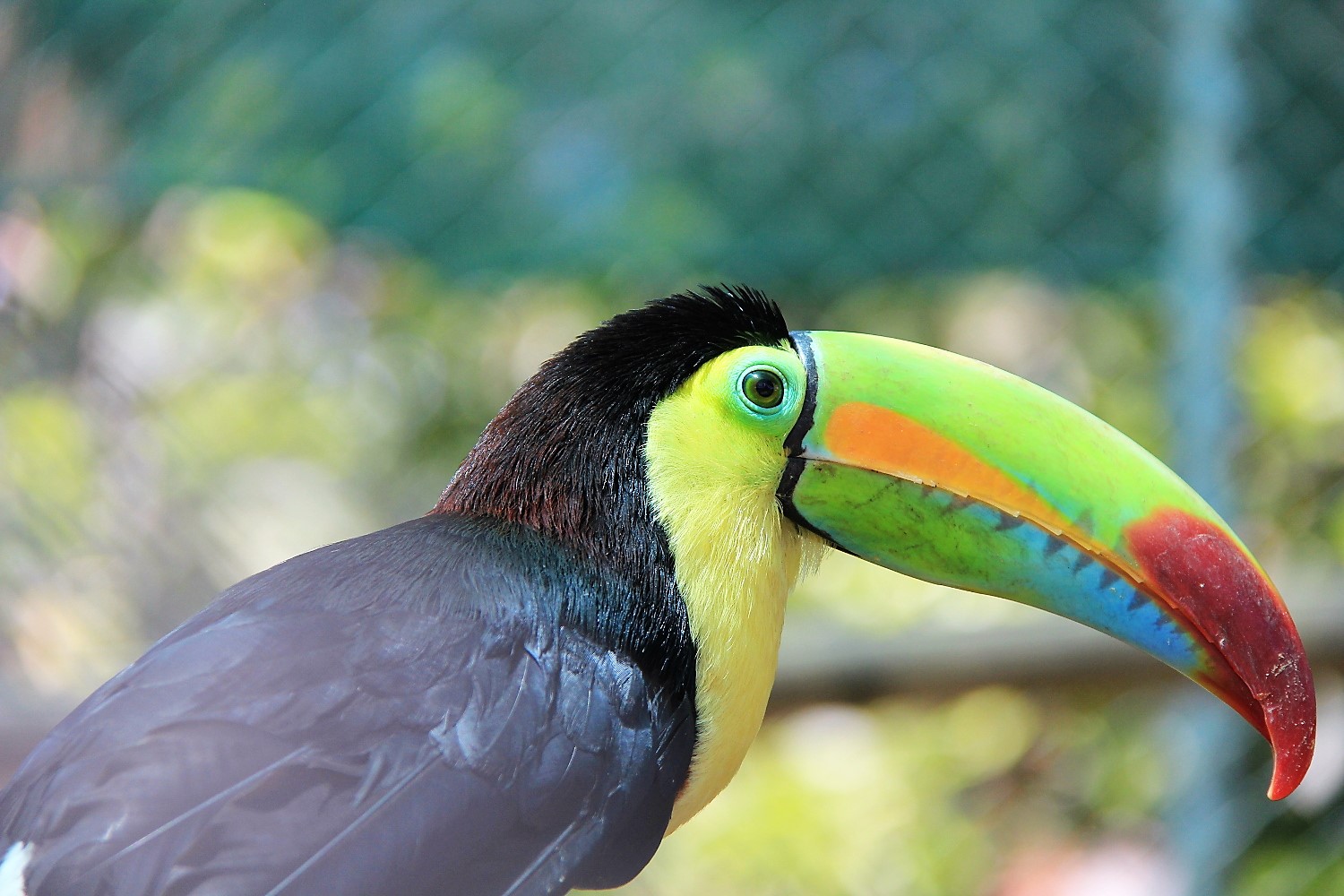 Costa Rica